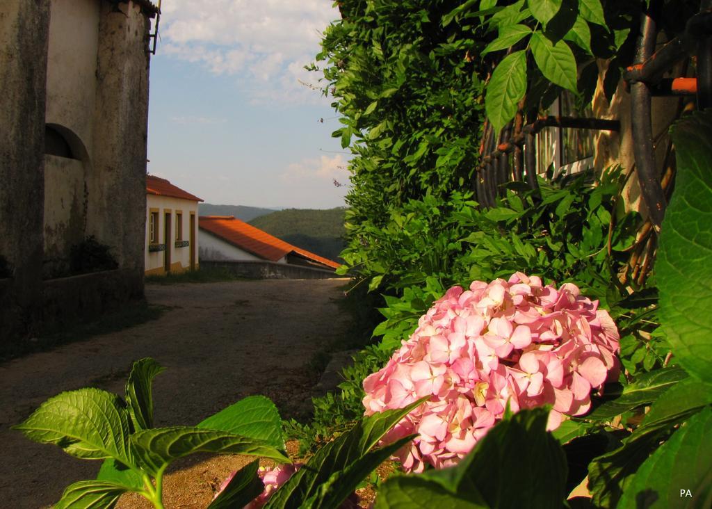 Quinta Do Cerquito Villa เฟร์เรย์รา โด เซเซเร ภายนอก รูปภาพ