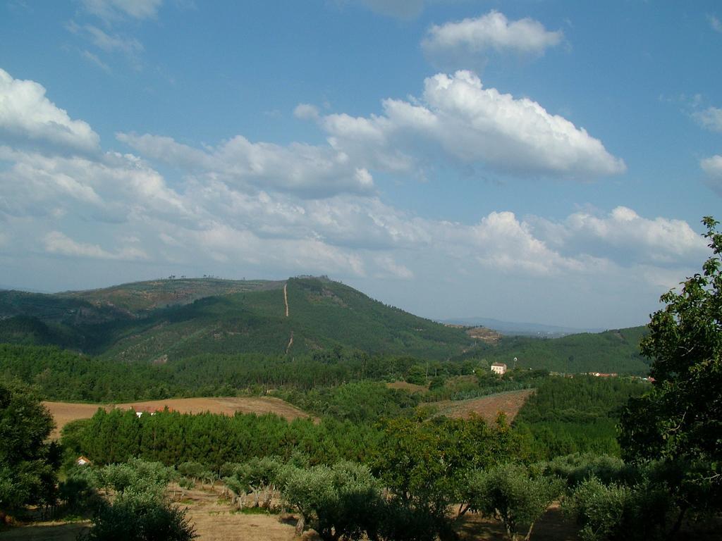 Quinta Do Cerquito Villa เฟร์เรย์รา โด เซเซเร ภายนอก รูปภาพ