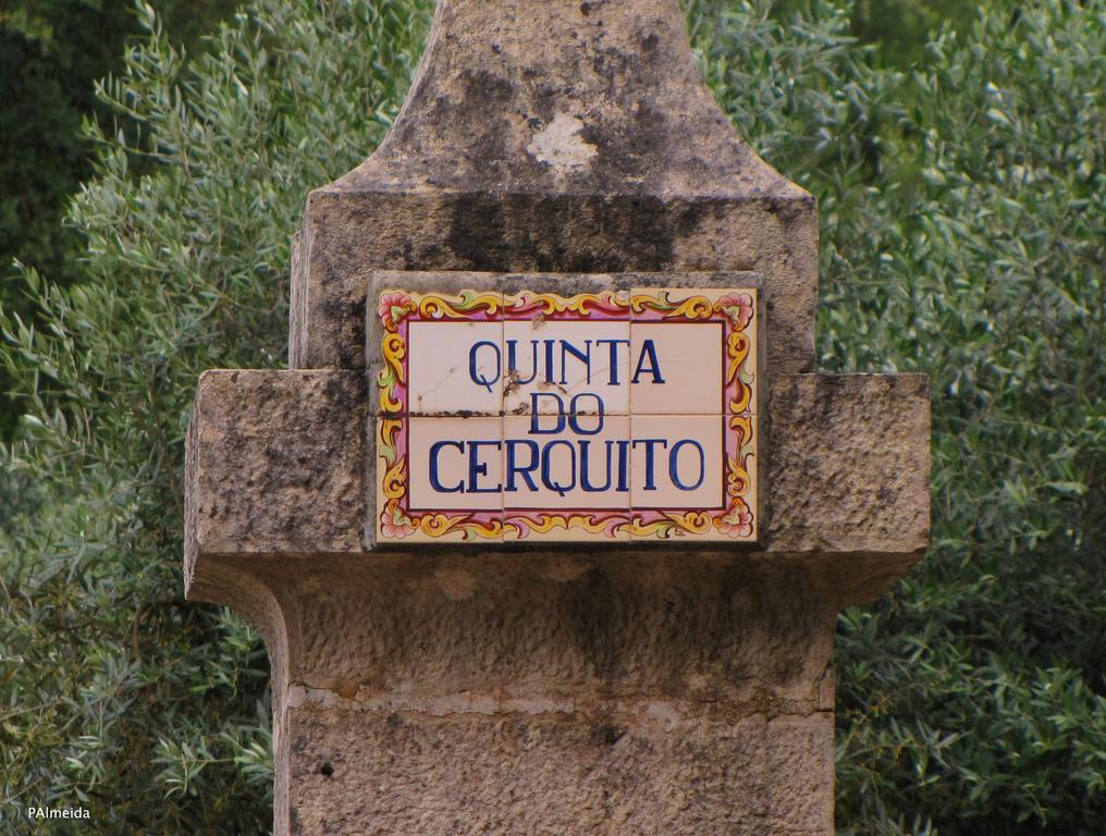 Quinta Do Cerquito Villa เฟร์เรย์รา โด เซเซเร ภายนอก รูปภาพ