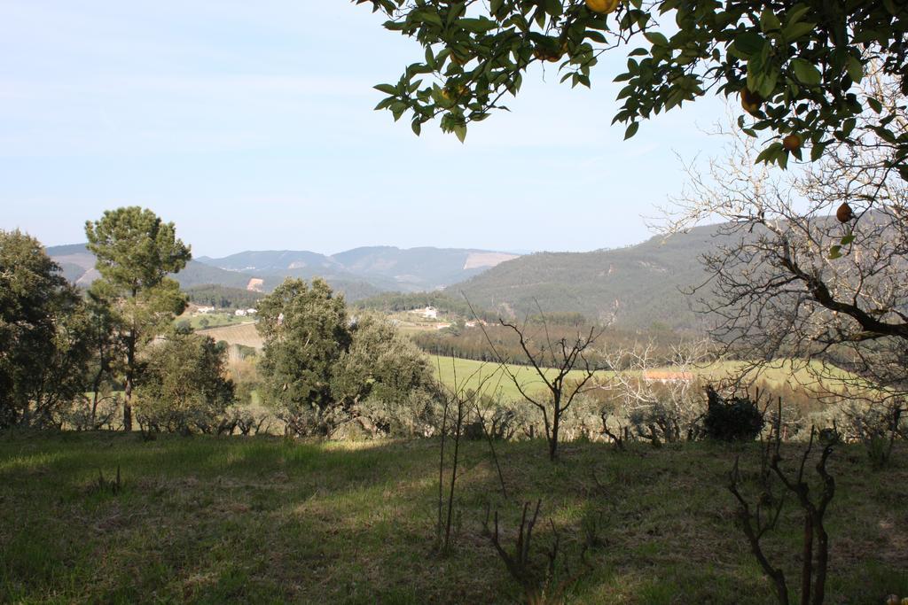 Quinta Do Cerquito Villa เฟร์เรย์รา โด เซเซเร ภายนอก รูปภาพ